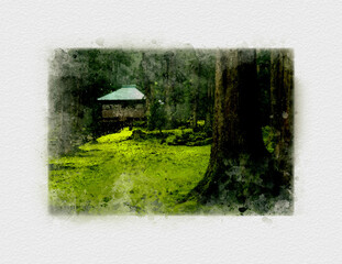 日本の神社の苔/日本庭園/石碑の苔/石像の苔/日本の風景/深い苔の森
