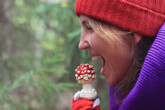 person fly agaric, woman holding fly agaric, dangerous poisonous mushroom, eating herbal medicine
