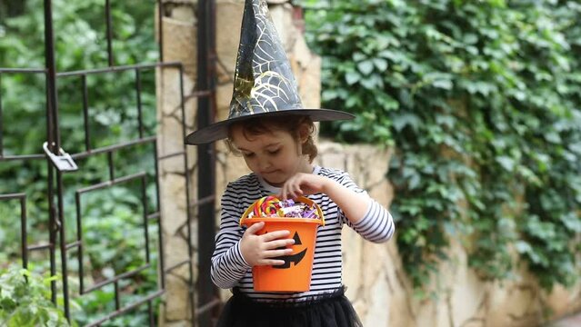 Little cute girl in witch costume holding jack-o-lantern bucket with candies and looks at sweets. Kid having fun on Halloween holiday.