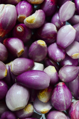 Pondok Cabe Ilir, Tangerang, Indonesia &ndash; August 12, 2022: Bawang Merah or The Shallot with selected focus.