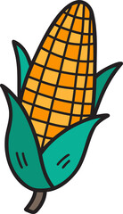 Hand Drawn sweetcorn illustration