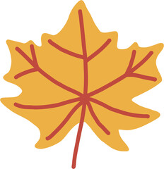 simplicity maple leaf freehand drawing flat design.