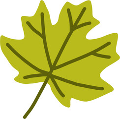 simplicity maple leaf freehand drawing flat design.