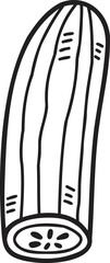 Hand Drawn cute Zucchini illustration