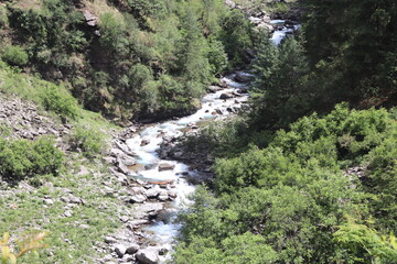 Fototapeta na wymiar River inside the dense forest in himalaya