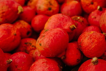 mehrfarbige helle kürbisse, herbsthintergrund mit saisonalen produkten, inspiration für herbst, halloween