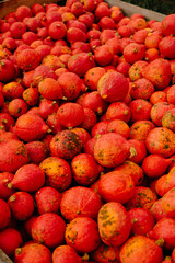 mehrfarbige helle kürbisse, herbsthintergrund mit saisonalen produkten, inspiration für herbst, halloween