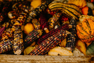 mehrfarbige helle kürbisse, herbsthintergrund mit saisonalen produkten, inspiration für herbst, halloween