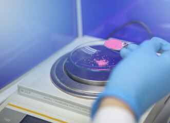  Pink pills on the production. Pharmaceutic industry