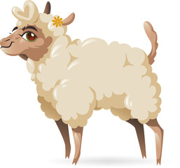 Sheep