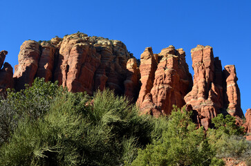 Bushes Growing at the Base of a Red Rock Formation