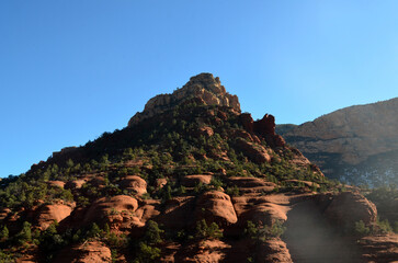Trees Growing on the Sides of a Red Rock Formation