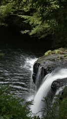 Fototapeta premium waterfall in the forest