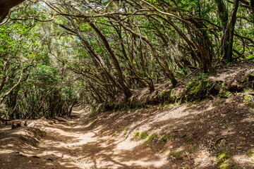 View on Tenerife island from Anaga Rural Park road.