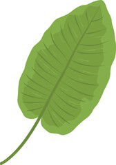 botanical green leaf