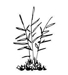 Simple vector drawing in black outline. Lake shore, river. Reeds in the water, swamp. Nature, landscape, duck hunting, fishing. Ink sketch.