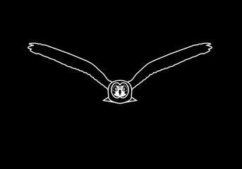 Owl - vector illustration. Icon design on black background.