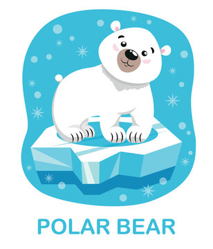 cartoon polar bear on blue background. Flashcards for kids to study