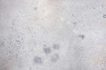 Light background of decorative plaster with abstract spots. Unusual texture of white or gray wall with beautiful patterns, creative surface background. Finishing coating for building cladding.