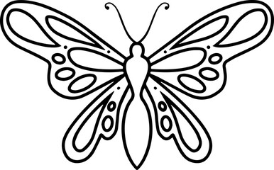 Hand Drawn Butterfly Line Art
