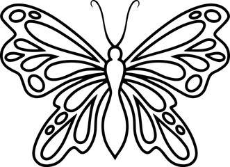 Hand Drawn Butterfly Line Art
