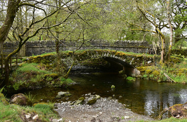 Fototapeta na wymiar Water Flowing Under and Old Arched Bridge