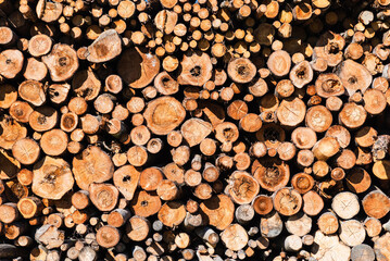 An alternative to expensive gas fuel.Pile of logs on a sunny summer day.firewood solid fuel found background.