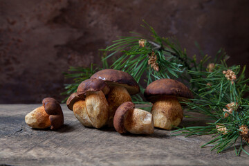 A lot of Imleria Badia or Boletus badius mushrooms commonly known as the bay bolete on vintage wooden background..