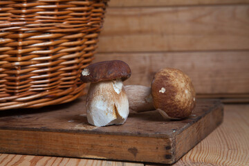 Two porcini mushrooms on wooden background at autumn season..