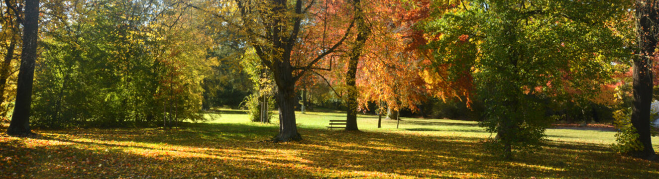 Landschaft 980
