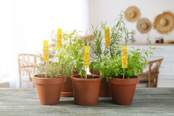 Pots with fresh aromatic herbs on wooden table in kitchen