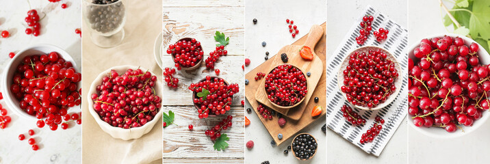 Collage with many ripe red currant on light background