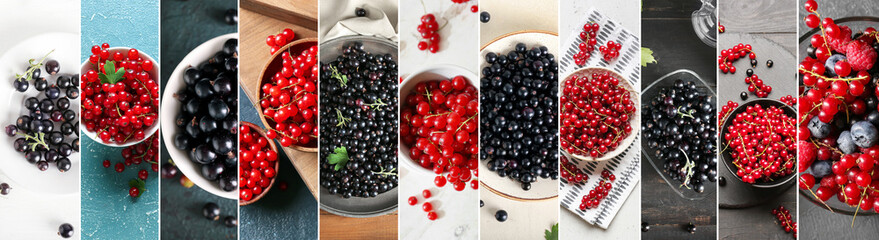 Collage with many ripe black and red currant, top view