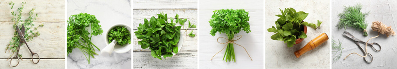Collage with many green herbs on light background