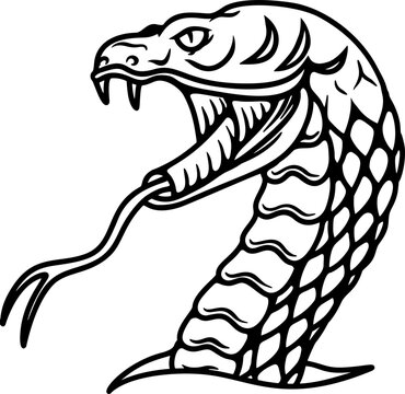 Illustration of snake head in engraving style. Design element for poster, card, banner, emblem, sign. Vector illustration