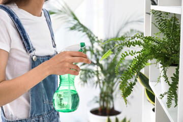 Woman spraying water onto houseplant on shelf at home, closeup