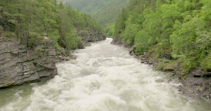 Wild River With Extreme Current Flowing In The Valley Of Gudbrandsdalen In Innlandet, Norway. drone shot