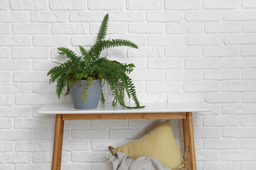 Green houseplant on table near white brick wall