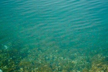 Perast Montenegro 2022 June