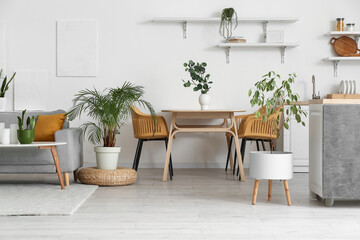 Interior of cozy dining room with houseplants, table and sofa