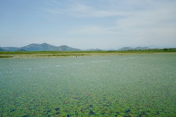 Virpazar Montenegro 2022 June