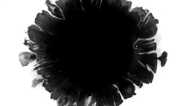 Ink Drop Splash 