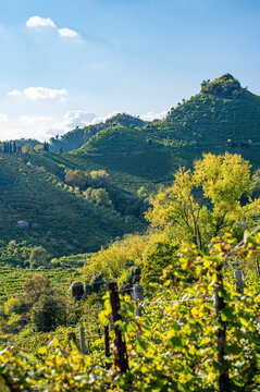 View of the Conegliano Valdobbiadene hills in autumn. Italy