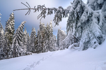 Cold winter and beautiful snow. Buried roads in Podhale, near the Tatra Mountains, Poland.  Mroźna...