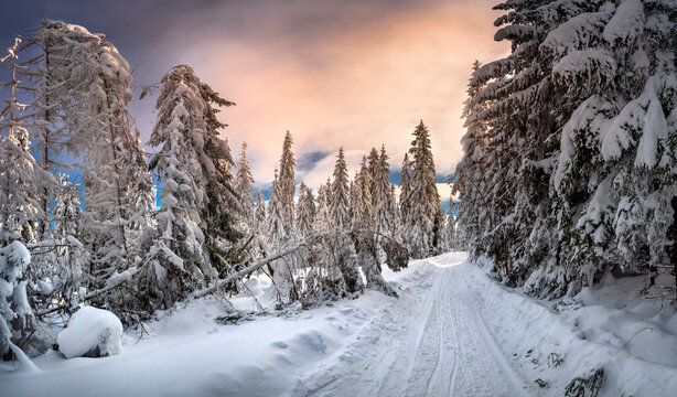 Cold winter and beautiful snow. Buried roads in Podhale, near the Tatra Mountains, Poland.

Mroźna zima i piękny śnieg. Zasypane drogi na podhalu, pod Tatrami, Polska. 
