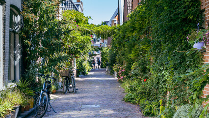 Flowers and plants in front of old city houses in Sint Jacobstraat the center of Alkmaar in North...