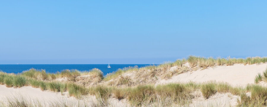 Scenic of dunes along the Dutch coast of North Holland between Schoorl and Petten in The Netherlands