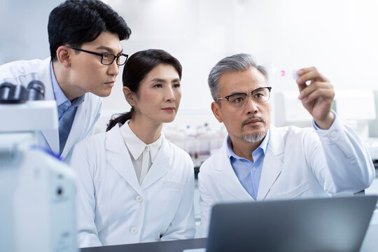 Researchers working in laboratory