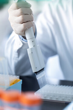 Scientist pipetting samples in laboratory