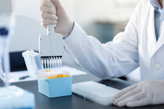 Scientist pipetting samples in laboratory - Powered by Adobe